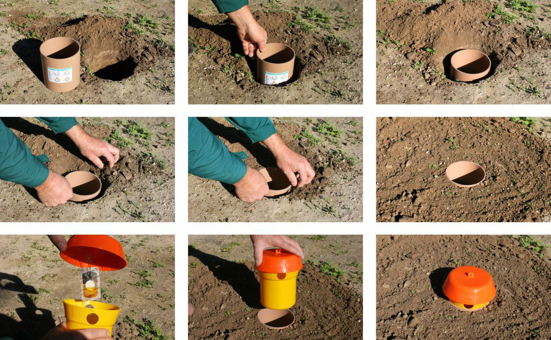 colocacion de la PIÈGE EOSTRAP® COSMOPOLITES SÚPER